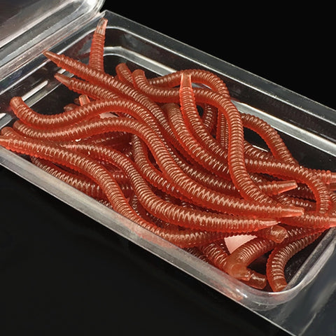 20Pcs Red Worms